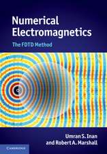 Numerical Electromagnetics: The FDTD Method