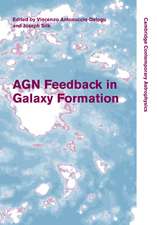 AGN Feedback in Galaxy Formation