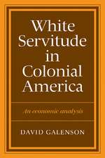 White Servitude in Colonial America: An economic analysis