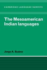 The Mesoamerican Indian Languages