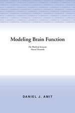 Modeling Brain Function