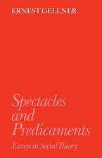 Spectacles and Predicaments: Essays in Social Theory