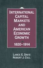 International Capital Markets and American Economic Growth, 1820–1914