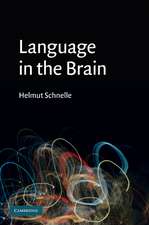 Language in the Brain