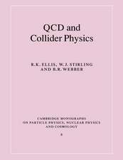 QCD and Collider Physics