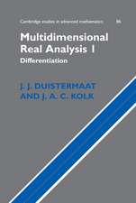 Multidimensional Real Analysis I