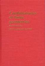 Combinatorics of Finite Geometries