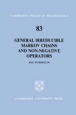 General Irreducible Markov Chains and Non-Negative Operators