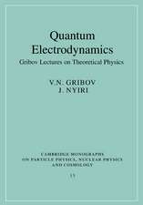 Quantum Electrodynamics: Gribov Lectures on Theoretical Physics