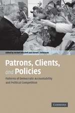 Patrons, Clients and Policies: Patterns of Democratic Accountability and Political Competition