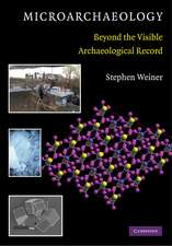 Microarchaeology: Beyond the Visible Archaeological Record