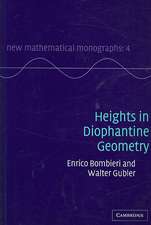 Heights in Diophantine Geometry