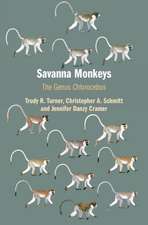 Savanna Monkeys