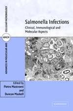 Salmonella Infections: Clinical, Immunological and Molecular Aspects