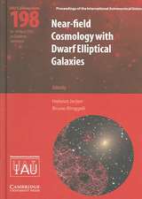 Near-Field Cosmology with Dwarf Elliptical Galaxies (IAU C198)