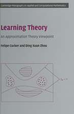 Learning Theory: An Approximation Theory Viewpoint