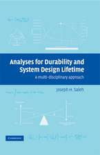 Analyses for Durability and System Design Lifetime: A Multidisciplinary Approach