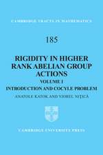 Rigidity in Higher Rank Abelian Group Actions: Volume 1, Introduction and Cocycle Problem