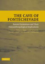 The Cave of Fontéchevade: Recent Excavations and their Paleoanthropological Implications