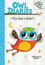 Eva Sees a Ghost: A Branches Book (Owl Diaries #2)