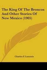 The King Of The Broncos And Other Stories Of New Mexico (1905)