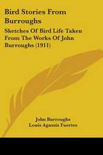 Bird Stories From Burroughs