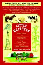 Little Heathens: Hard Times and High Spirits on an Iowa Farm During the Great Depression