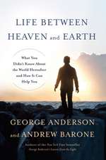 Life Between Heaven and Earth: What You Didn't Know about the World Hereafter and How It Can Help You