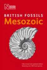 Natural History Museum: British Mesozoic Fossils