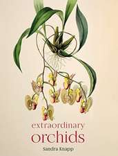 Extraordinary Orchids