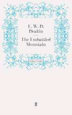 The Embattled Mountain