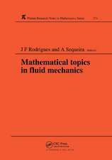 Mathematical Topics in Fluid Mechanics