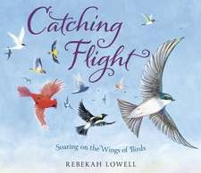 Catching Flight: Soaring on the Wings of Birds