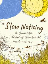 Slow Noticing