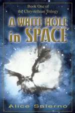 A White Hole in Space