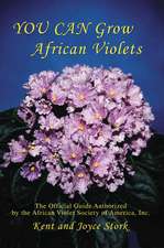 You Can Grow African Violets