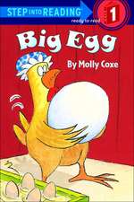 Big Egg: An Irish Folktale