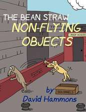 The Bean Straw: Non-Flying Objects