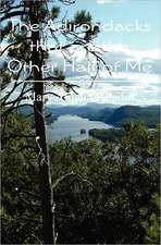 The Adirondacks That Are the Other Half of Me: Erasing Marketing and Business Development Silos -- Once and for All -- In Professional Service Firms