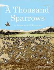 A Thousand Sparrows: The Essential Guide to Recyling with Composting Worms