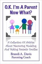 Ok I'm a Parent Now What?: A Collection of Articles about Mentoring Modeling and Making Fantastic Families