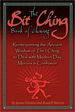 The Bit Ching Book of Change: Reinterpreting the Ancient Wisdom of the I Ching to Deal with Modern Day Morons & Confusion