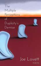 The Multiple Perceptions of Duplicity's Demise: A Detective Bruce Taiber Novel