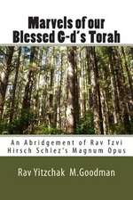 Marvels of Our Blessed G-D's Torah