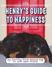 Henry's Guide to Happiness