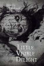 Little Visible Delight: A Collection of Poems and Prose Chronicling One Girl's Journey Through Her 20s