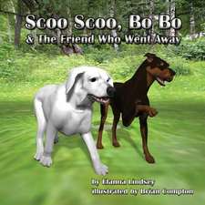 Scoo Scoo, Bo Bo and the Friend Who Went Away