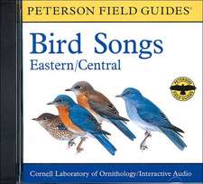 A Field Guide to Bird Songs