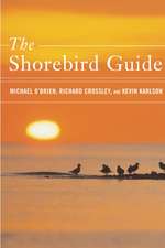 The Shorebird Guide