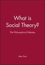 What is Social Theory?: The Philosophical Debates